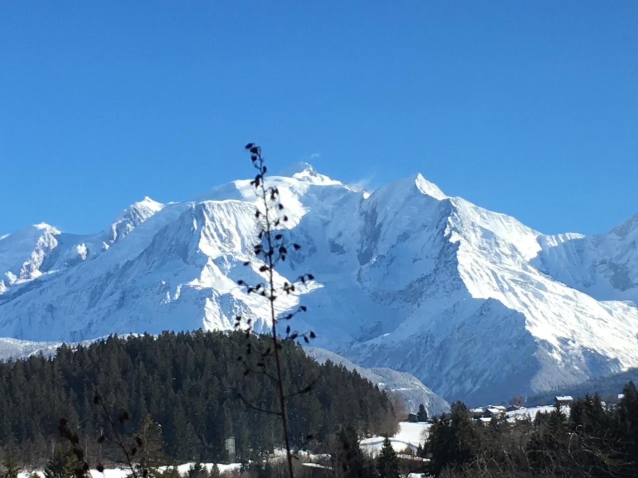 فندق البيتفيلفي  Les 4 Vallees المظهر الخارجي الصورة